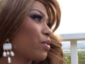 Découvrez la beauté séductrice de deux belles-belles soeurs