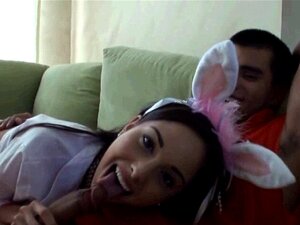 Découvrez la soirée la plus folle de tous les temps ! Regardez les