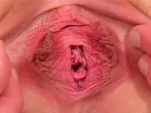 Une chatte tchèque particulière écarte sa chatte douce à