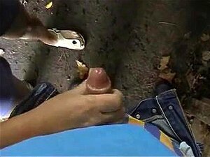 MILF à gros seins cocue dans les bois