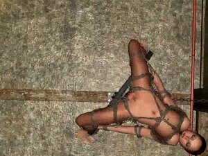 Bébé 3D attachée et pendante se fait baiser durement