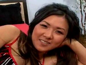 Kylie Rey de Mr. Chews, castors asiatiques DM720