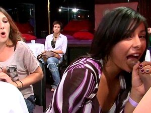 Regardez ces salopes sauvages samuser avec des gigolos bien membrés.