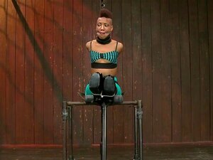 Panthère élégante noire Nikki Darling