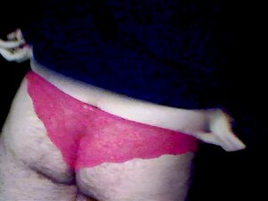 Ours en culotte de dentelle