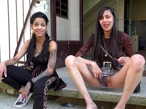 Vrais Gitans Tchèques