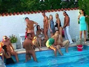 Assistez à une frénésie sexuelle en plein air ultime alors qu'un