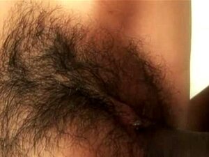 Monica Austin - Sexe interracial avec une chatte latine poilue