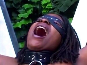 ESCLAVES SEXUELS AFRO - Beautés afro hardcore en groupe en plein air