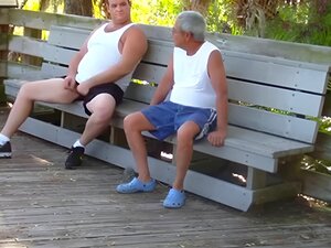 les gays plus âgés ont des relations sexuelles dans un parc public