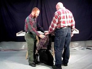 Deux ours pour un cul