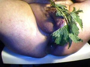 session cam 04