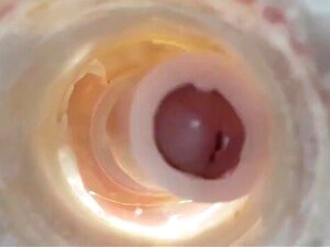 Éjaculation interne en solo : 006. Éjaculation en boule rasée