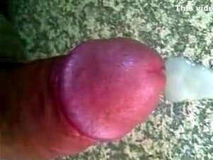 Vidéo porno exotique,