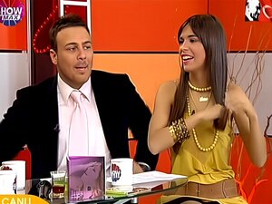 Belle chatte à la télé