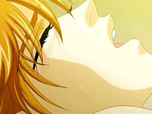 Un gay d'anime s'embrasse et s'amuse avec du sexe