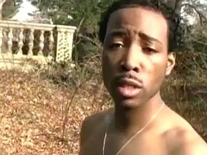 Regardez Thick Hoe le prendre dans le cul maintenant ! - Ssbbw, Thot,