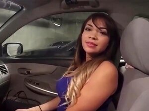 Une mignonne aux gros seins désespérée baise Samaritan pour rentrer