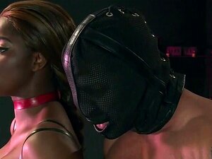 Maîtresse ébène aux seins, sexe interracial (Jasmine Webb)