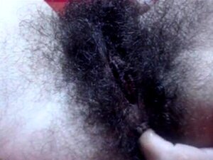 Buisson fantastique 1