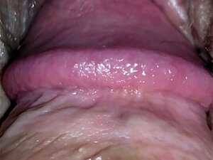 POV Bite Entrant Dans La Chatte