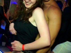 Vrai spitroast public amateur européen en chaleur. Vrai spitroast